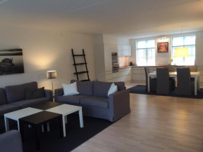 CPH Lux apartm, 2 FULL BATHROOMS 2th in Kopenhagen